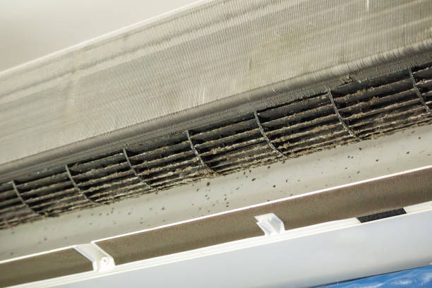 Best Air Duct Sanitization & Disinfection in Willoughby Hills, OH